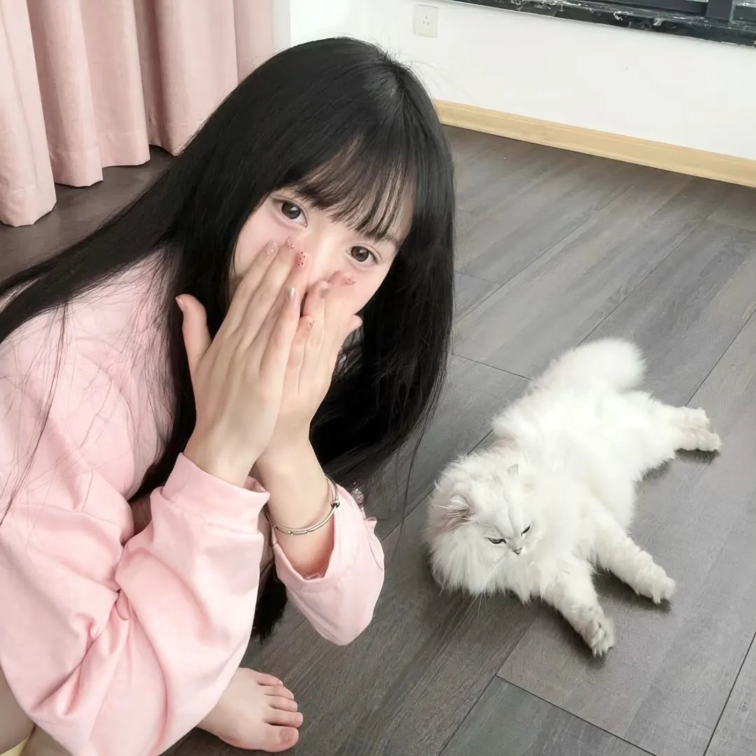 动画冒险